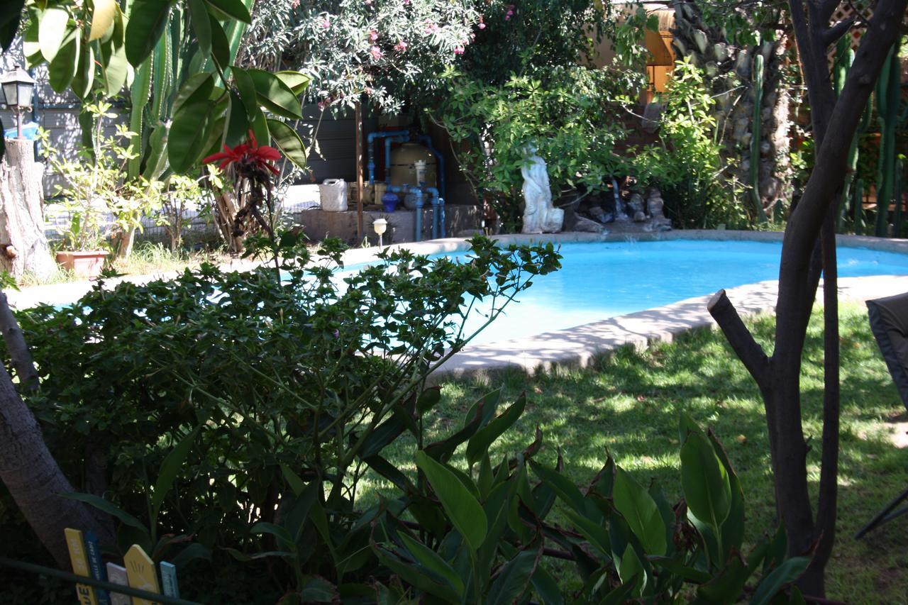 Tikay Suite Hotel Copiapó Eksteriør billede